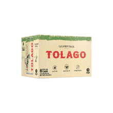 Load image into Gallery viewer, Cucumber Basil Spiked Seltzer