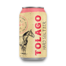 Load image into Gallery viewer, Spiked Seltzer Variety #1
