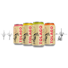 Load image into Gallery viewer, Spiked Seltzer Variety #1