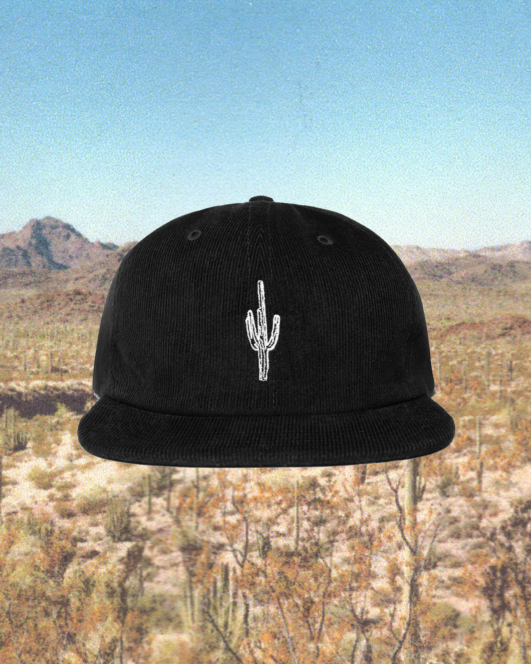 Cactus Corduroy Cap